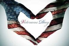 veterans day flag hands