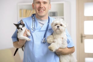 Increase veterinarian sales