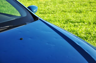 hail damaged car hood
