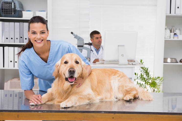 Veterinary Offices