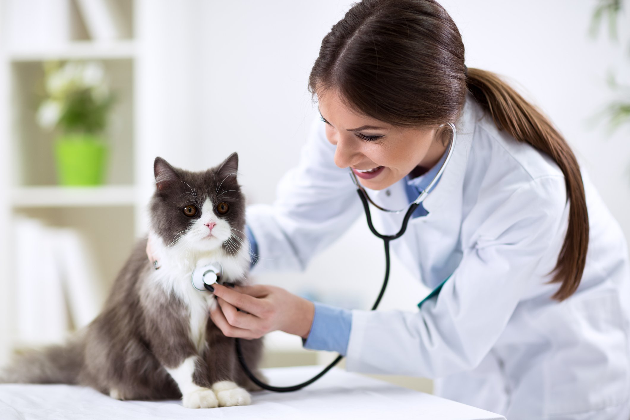 iStock-529121920-1