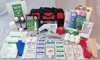 K9 First Aid Kit Provided by outdoorsafety.net