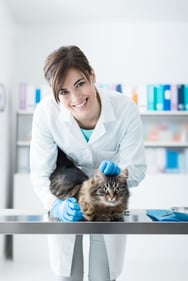 veterinary hospital managers
