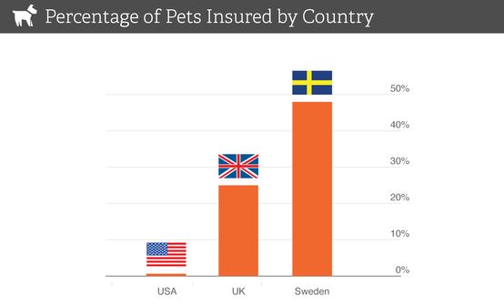 Pet_Insurance-1