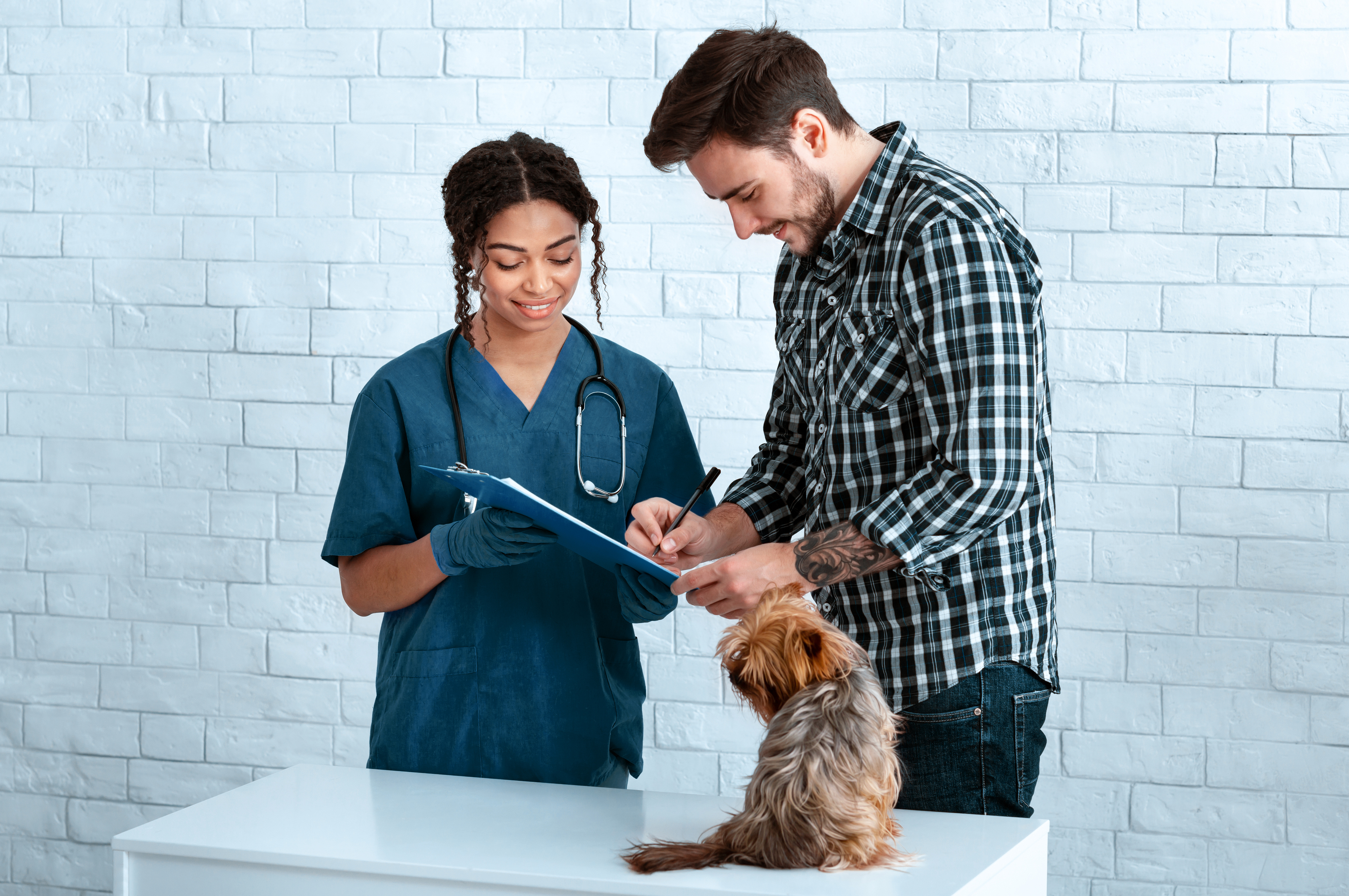 Owner with cute dog visiting veterinarian for annual checkup, signing paperwork.
