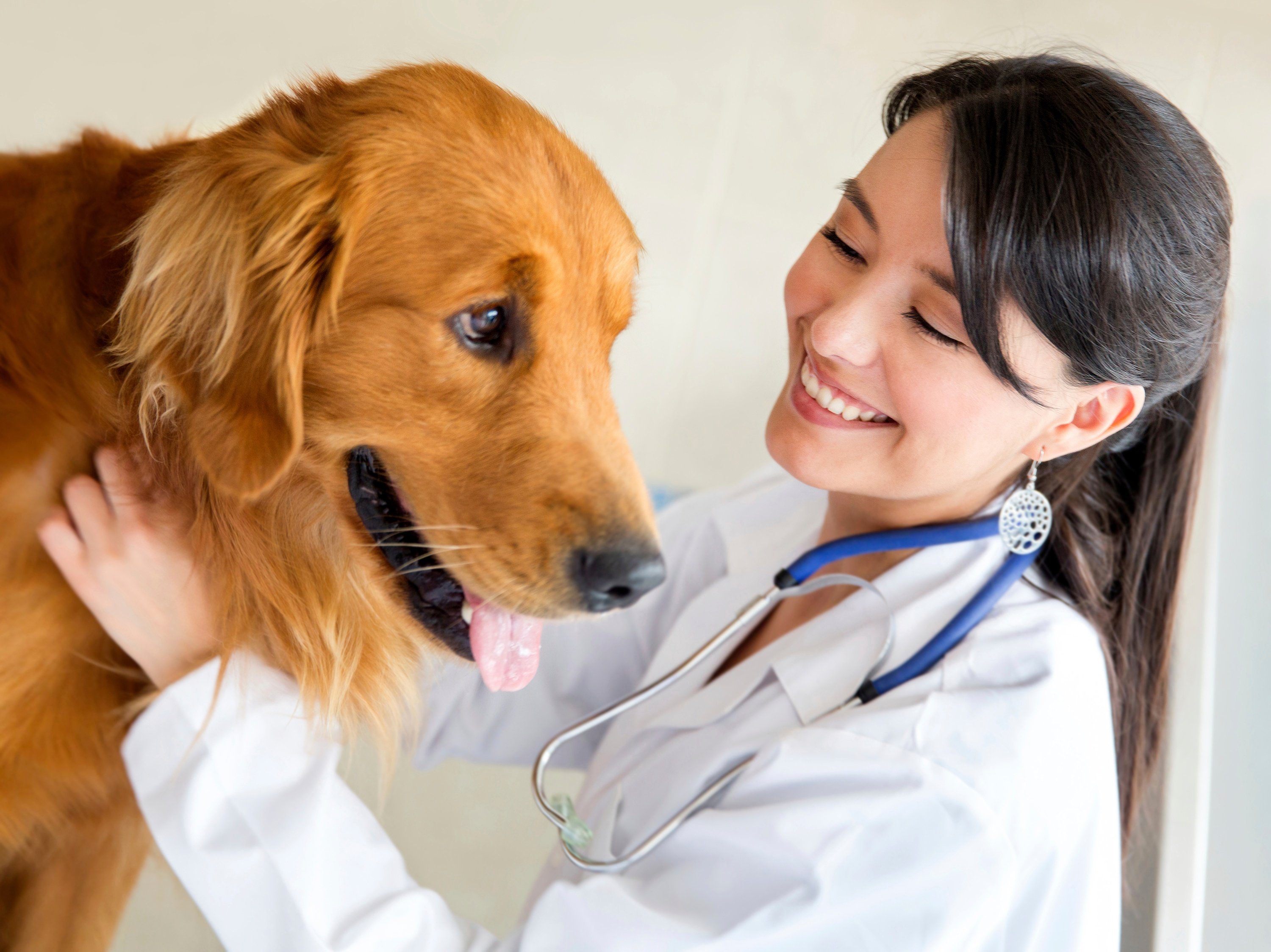 Avoiding credit card fees leads to happy pets and happy vets.